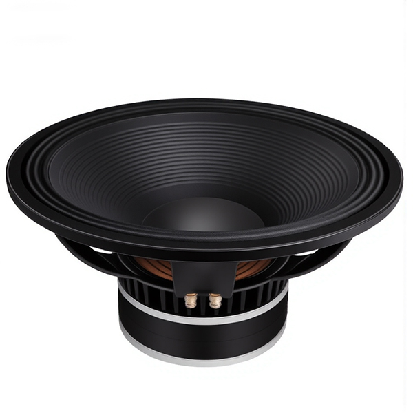 15 inch Woofer Driver
