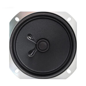 Speaker Driver, speaker construction and mounting details