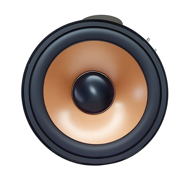 2–5.5 inch Full-Range Speaker Driver