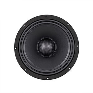 Subwoofer Driver, speaker construction and mounting details