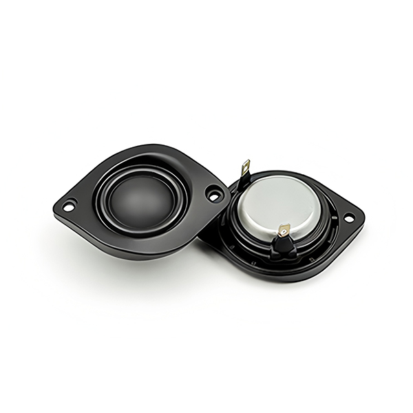 Speaker Driver, speaker construction and mounting details