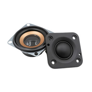 Tweeter Driver, speaker construction and mounting details